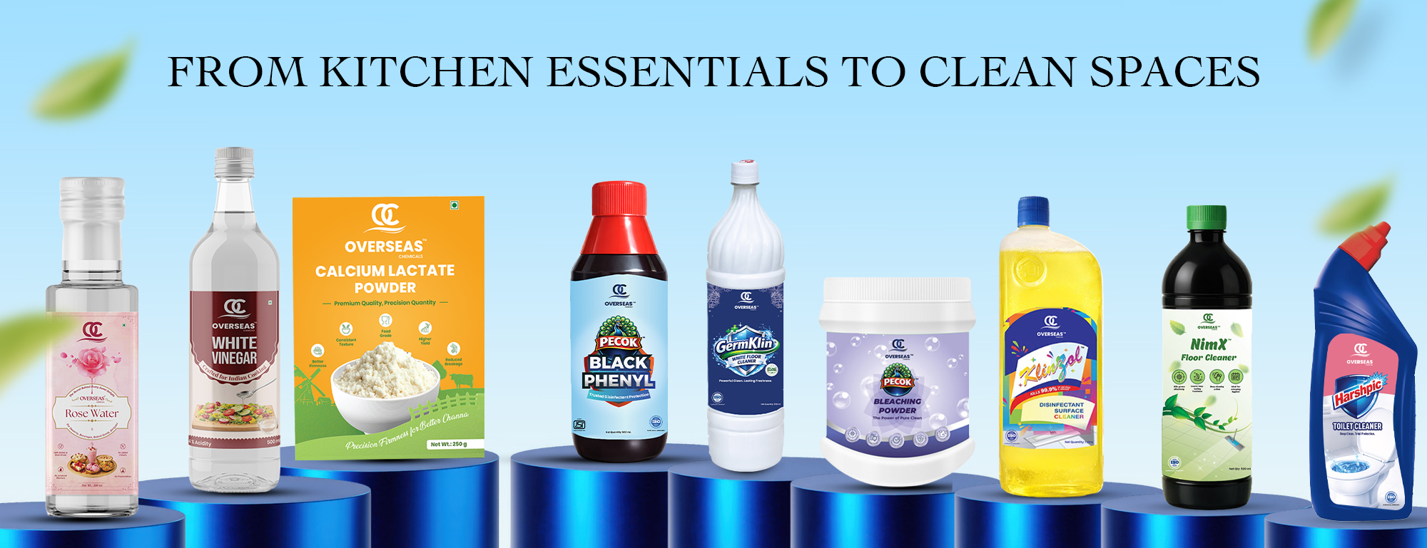 Overseas website banner